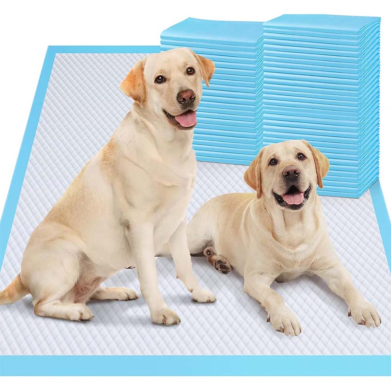 Absorbent pet pee pads