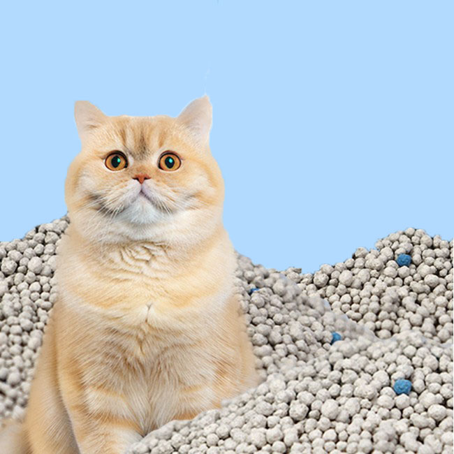 Plant-Based Cat Litter