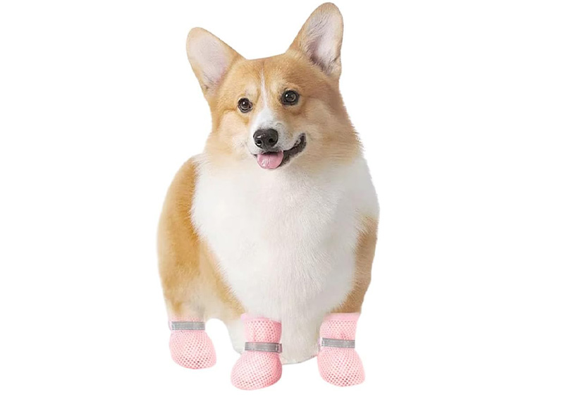 Imprescindible para la temporada de lluvias: zapatos impermeables de silicona para mascotas.