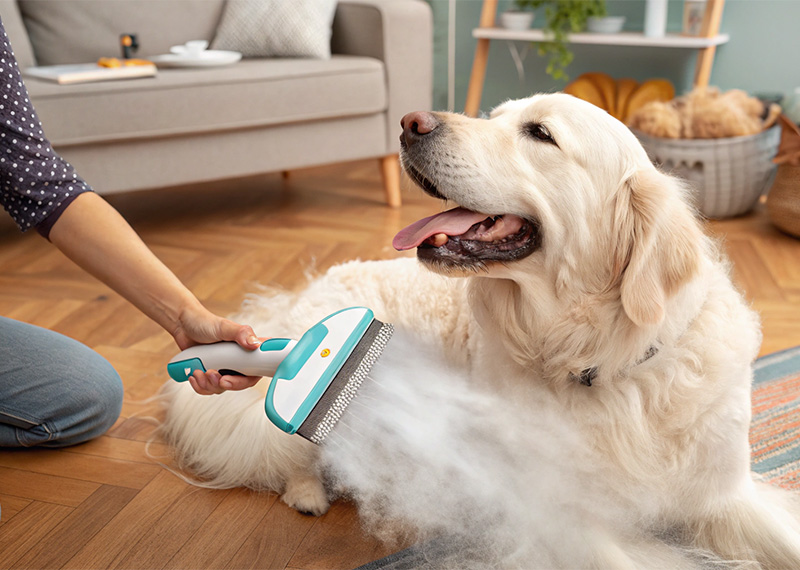 Peines de pelo largo vs. peines de pelo corto: ¿cuál es más adecuado para tu mascota?