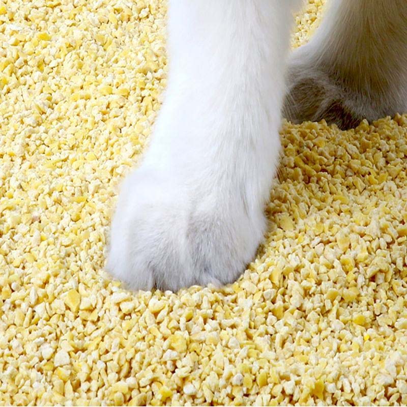Eco-Friendly Low-Dust Cat Litter