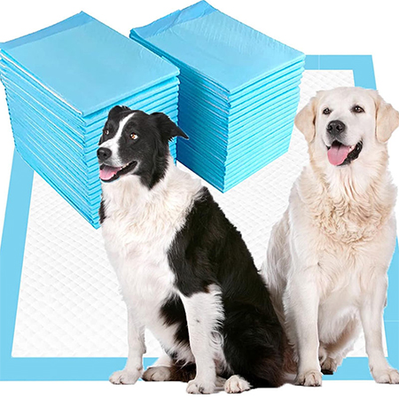 Empapadores absorbentes sostenibles para cachorros: protección antifugas de 6 capas
