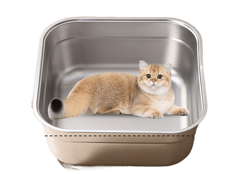 Cómo elegir la mejor caja de arena para tu gato
