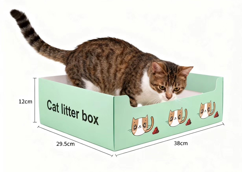Nueva opción para cajas de arena para gatos: cómodas, ecológicas y aptas para mascotas.