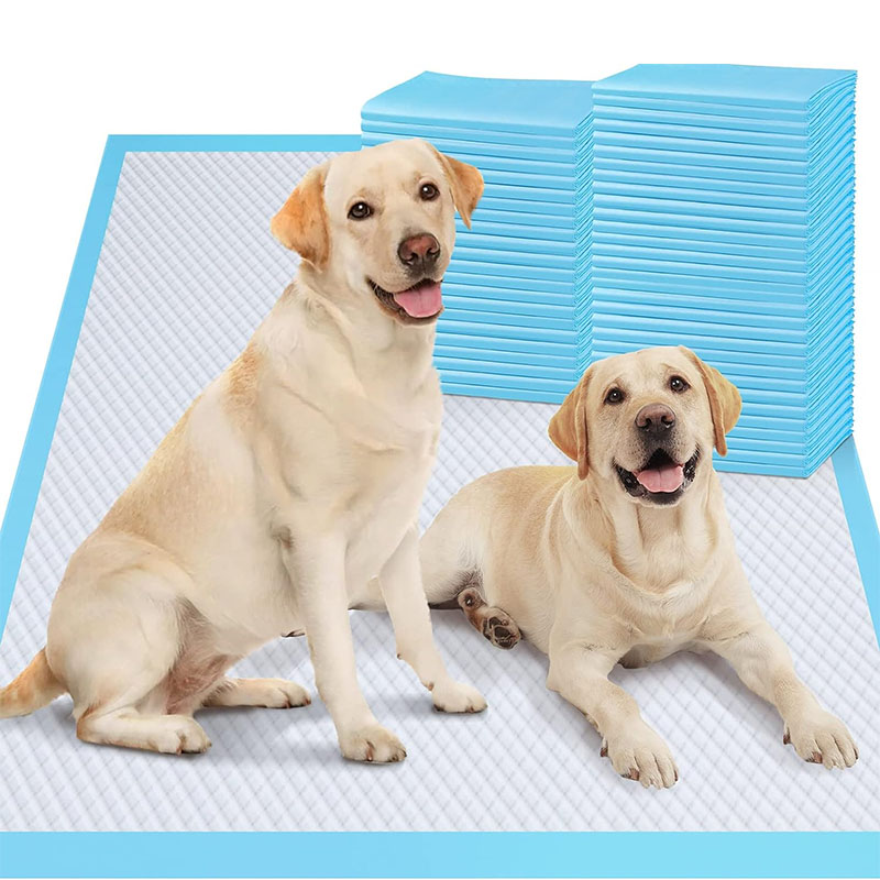 Leakproof 5-Layer Puppy Training Pee Pads