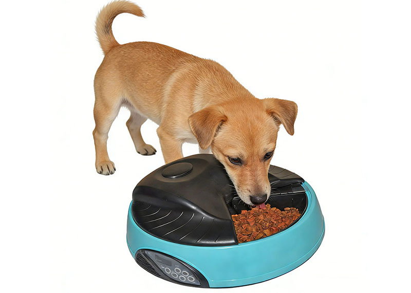 Alimentador inteligente: hace que la alimentación sea más cómoda