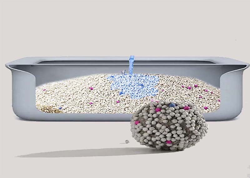 ¿Por qué la arena para gatos biodegradable desechable es una opción inteligente para los dueños de mascotas con conciencia ecológica?