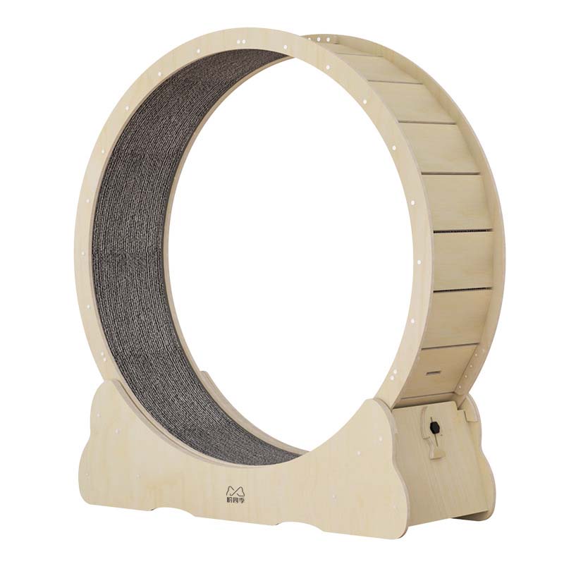 cat exercise wheel indoor