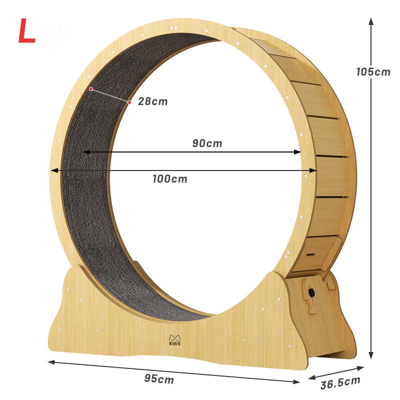 cat exercise wheel indoor