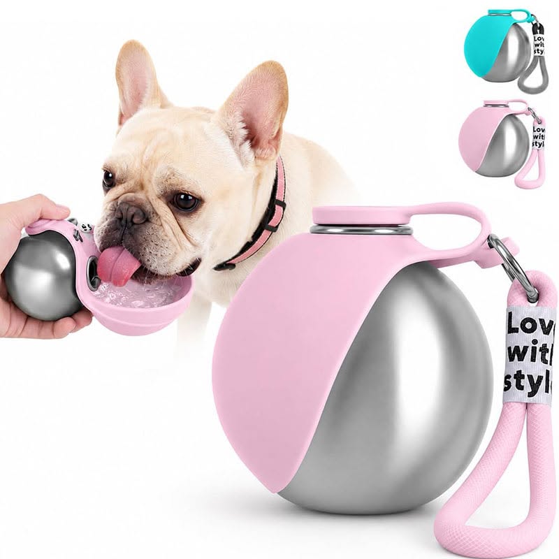 Light‑Weight Pet Outdoor Accessory