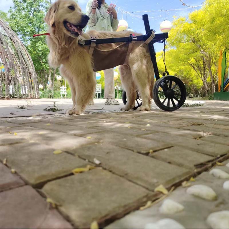 pet injury recovery walking cart pet injury recovery walking cart
